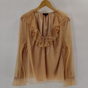 J. Crew Blouse Size XXL Tan Peach Swiss Dot Mesh V Neck Sheer Sleeve W Lining